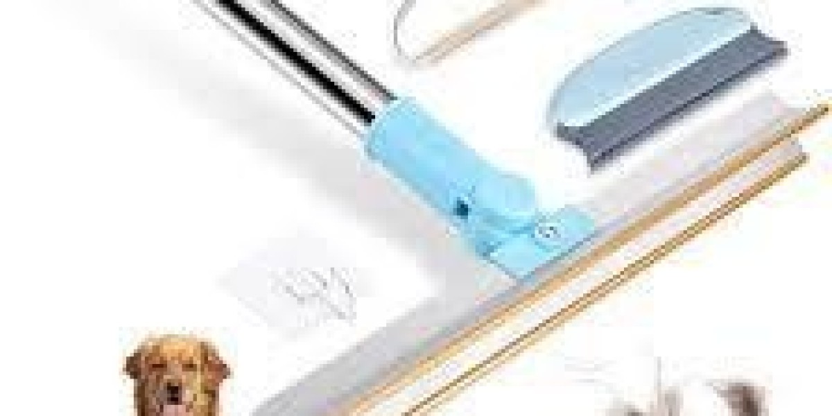 Tallfly Home Care Guide: Pet Hair Scraper Techniques for Cleaner Living